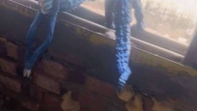 奥特曼被怪兽给吃了#儿童玩具#怪兽玩具#好玩的玩具