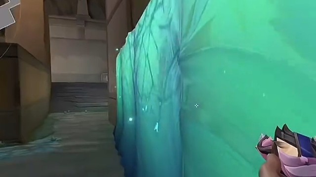 我们家决斗只会躲在奶妈身后，犹犹豫豫不进点