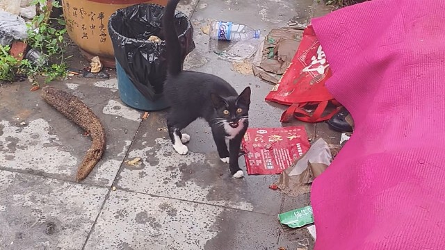 小小今天到齐了