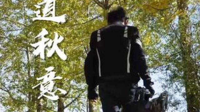 才感盛夏 忽而立秋#风景在路上 #青海 #秋天 #凯越525x