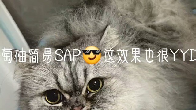葡萄柚简易SAP这效果也很YYDS