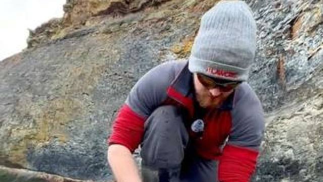 遍地都是亿万年前的菊石化石