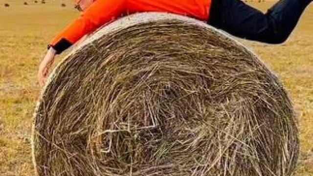 报告！9.24草原上长满了瑞士卷 #草原秋色 #旅行推荐官 #泉城自驾