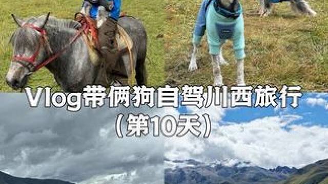 Vlog.294带俩狗自驾川西旅行。