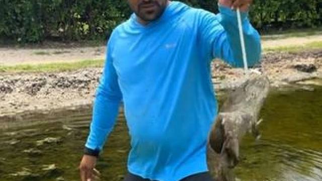 国外老哥用复合弓捕鱼箭法真准 #国外视频分享 #好大一条鱼 #户外捕