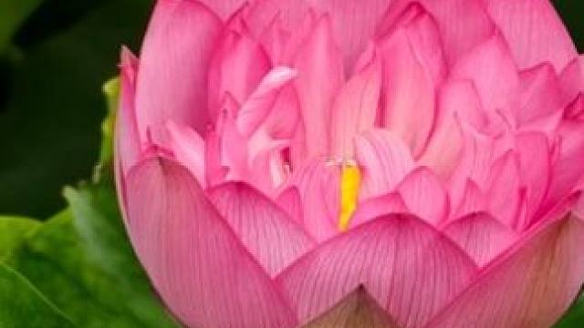 国庆staycation安排上了 把日常拍成度假大片，评论区我们互相交换一张日常度假大片#随拍记录生