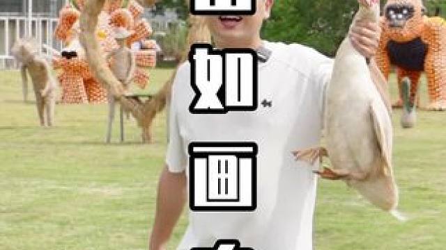 江山如画农场 #衢州 #江山 #旅行推荐官 #旅游 #农场