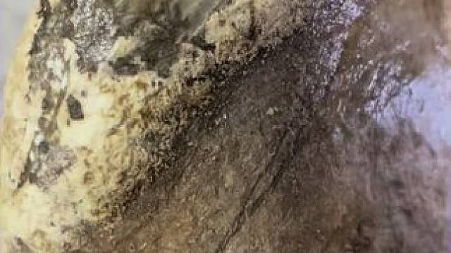 我发布了一个新视频，快来围观吧！