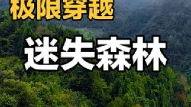 极限穿越迷失森林（2） 徒步河谷辣眼提神，围石捕鱼山坡露营 #野外生存 #荒野求生 #户外 #户外美