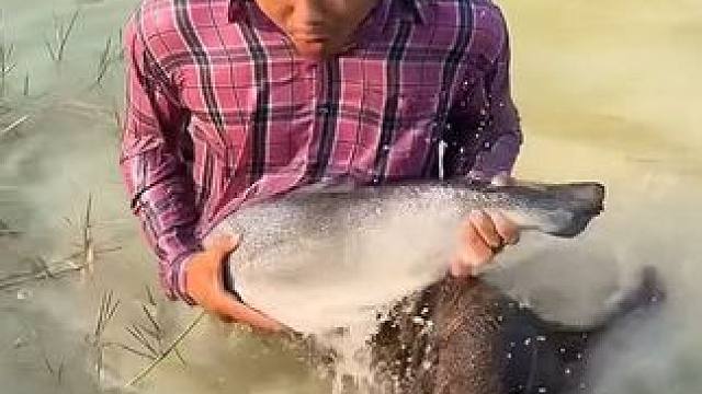 天气不错☀️下河捞鱼 #美食 #泰国美食 #户外美食 #内容启发搜索