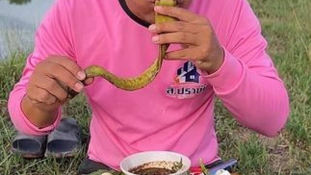 新鲜木蝴蝶牛瘪酱汁牛杂拼盘 #美食 #泰国美食 #户外美食 #内容启发搜索