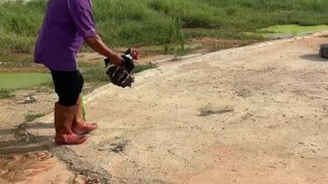 炫个战斗鸡……