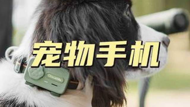 宠物手机来了！一机在手，毛孩再也不愁丢失 人工智能科技