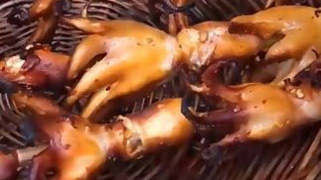 在森林里烹饪——用野生食谱烤章鱼沙拉作为食物 #