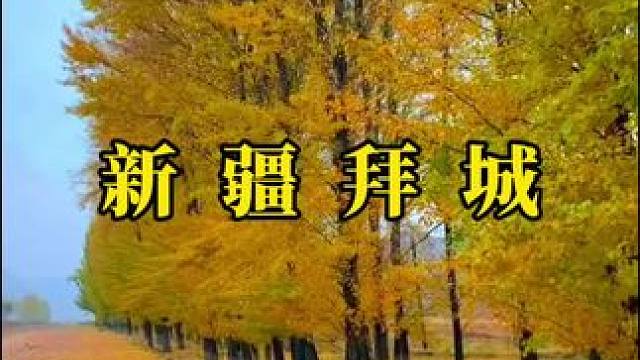 人生没有最好的年龄，只有最好的心态，我们争不过岁月，也跑不过时间。唯有自己喜欢的方式，过好每一个日出