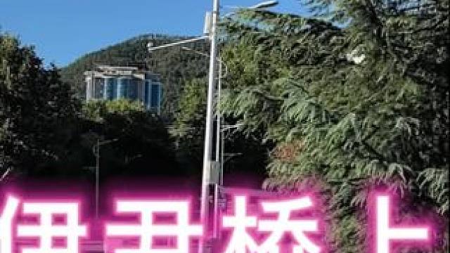 # 伊尹桥上的太阳