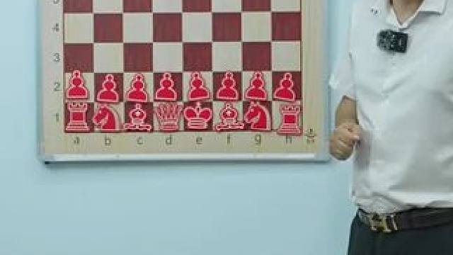 爱因斯坦和奥本海默精彩对局 #国际象棋#象棋高手 #思维训练 #脑力开发