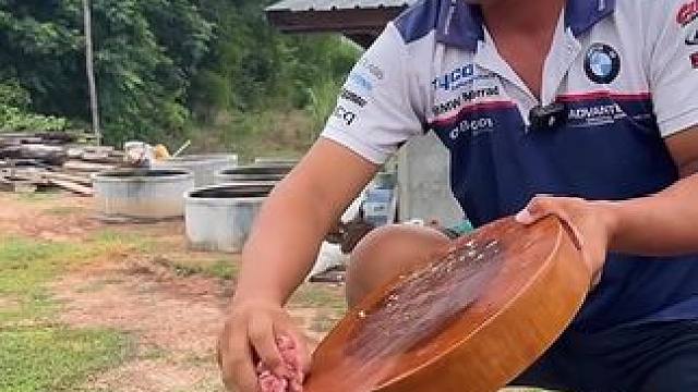 午饭吃蚝油炒牛肚 #美食 #泰国美食 #户外美食 #内容启发搜索