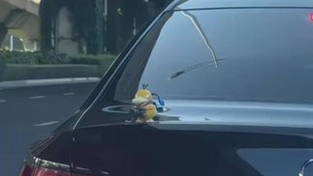 这不得把我朋友迷成制杖~ #玩个很新的东西