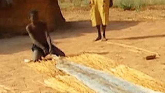 非洲猎蟒人，每一步都在意料之外！太惊喜啦 #纪录片 #原始部落 #瓜子二手车