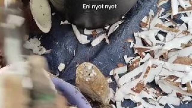 我发布了一个新视频，快来围观吧！