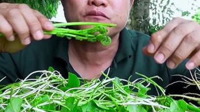 新鲜蕨菜糊辣️凉拌小白虾 #泰国大叔#泰国美食#内容启发搜索 #种草激励计划 #全民任务