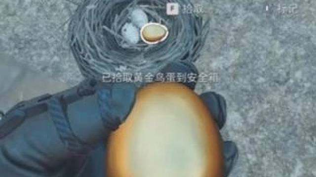 AAA魔丸批发 #三角洲行动 #鸟窝迁徙 #零号大坝  #三角洲行动攻略 #三角洲行动烽火杯