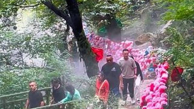一到秋天就想往大山里跑