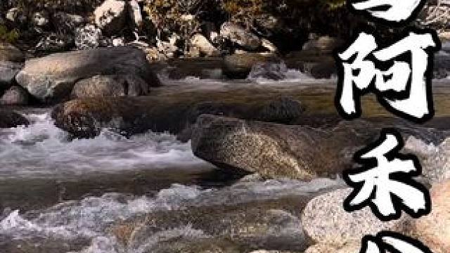 自驾阿禾公路，秋色美景尽收眼底，黄叶，雪山，美食蓝天白云都有