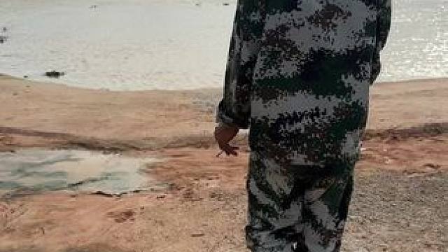 一只会游泳的战斗鸡……