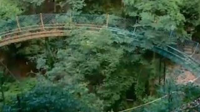 一步一景，玩网红索道，吸氧千岛湖！#千岛湖 