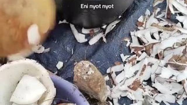 我发布了一个新视频，快来围观吧！