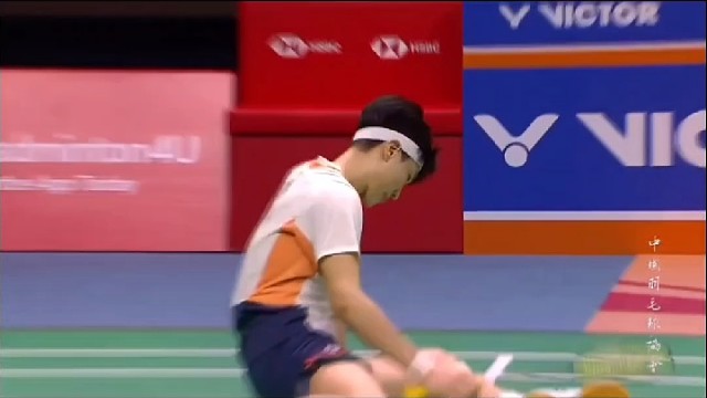 徐金组合一枝独秀于世界羽联