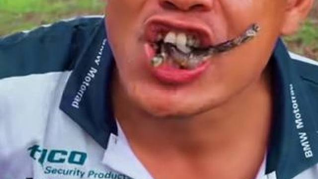 咖喱炖满籽蛋蛋蛙 #美食 #泰国美食 #户外美食 #内容启发搜索