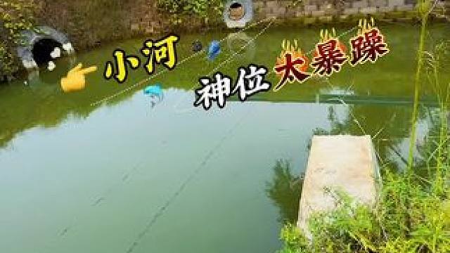小河神位太暴躁 #钓鱼#野钓#野河野钓#聚鱼多 #老坛甜薯方块饵