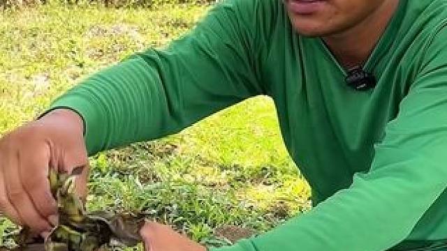 猜猜竹筒里装的是什么