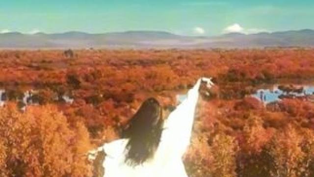 总有一条蜿蜒在童话镇里七彩的河