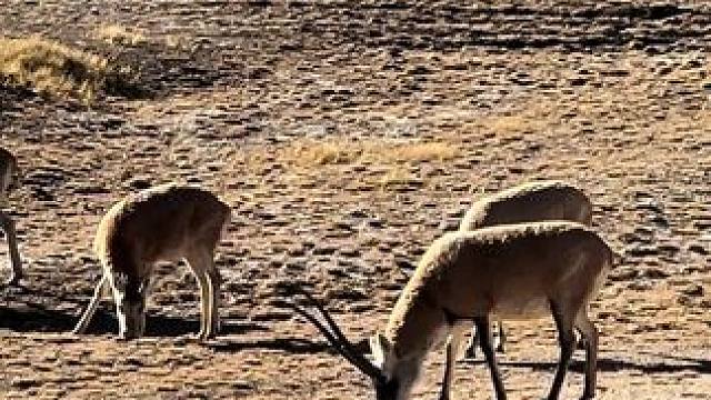 翻过红土达坂我到松西村了，钻石都累到吐沫子了