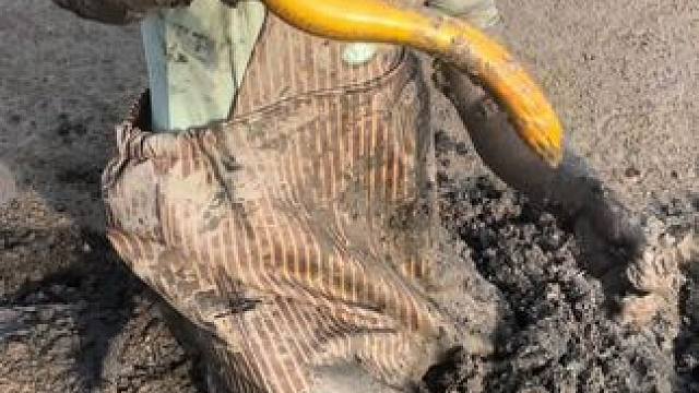 第一次花300块包塘，，鳝鱼很多，扣得很过瘾，就是没爆桶！！#户外 #我的乡村生活