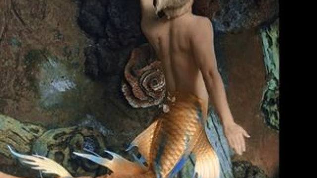 长鹿潜水，长鹿美人鱼 