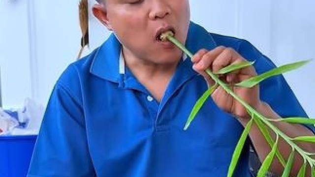 苦胆辣椒汁️脆嫩大毛肚野生杆姜 泰国大叔内容启发搜索