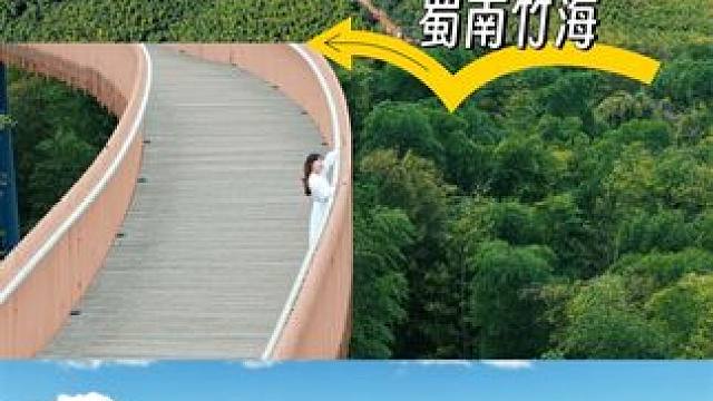 国庆赴宜宾蜀南竹海，尽享绿意#蜀南竹海#蜀南竹海来大熊猫了