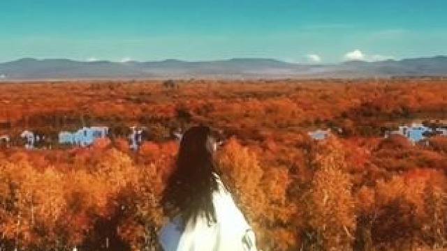 自在摇曳 生生不息#枕边童话 #舞蹈