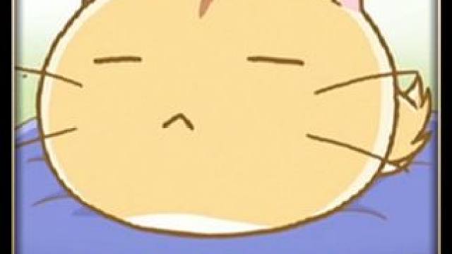 一口气看完可爱治愈动漫：嘟嘟猫观察日记。