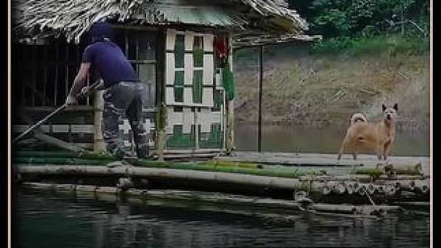 一人一狗竹筏求生1000天 竹筏求生