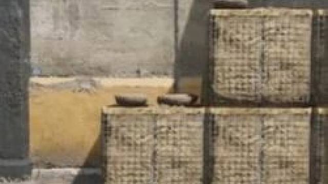 10月1日鸟窝聚集地不是老位置！全地图位置带跑 #三角洲行动  #三角洲行动欢乐剧场 #三角洲s6烈