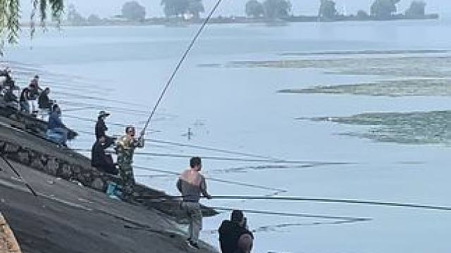 骆马湖的鲫鱼是真大，一条接一条，十一假期你们都来钓鱼吗？#钓鱼 #钓鱼的乐趣只有钓鱼人懂