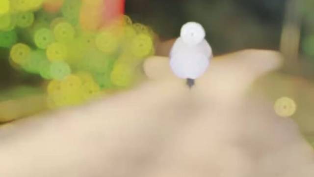 一生所幸 生于华夏