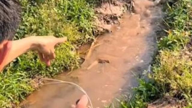 我发布了一个新视频，快来围观吧！