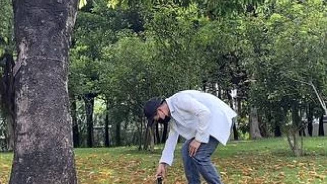 秋天的落叶试试这样拍